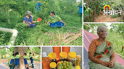 Nandvanam farm natural farming methods