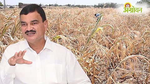Crop Damage Assessments