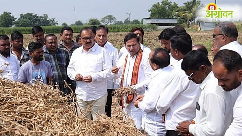 Farmer Relief Demand