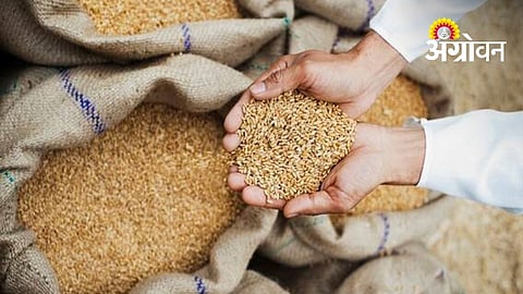 Ahilyanagar Approves Food Grain Allocation