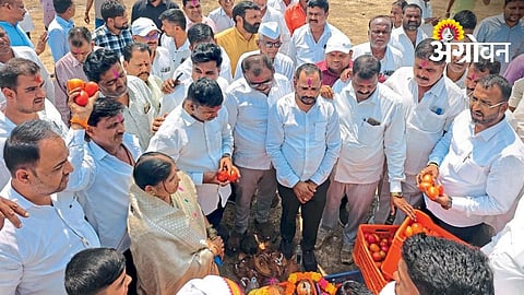 Tomato Auctions Begin At Pandhurli Sub Market In Nashik