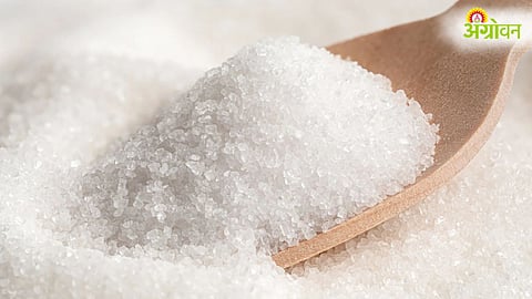Sugar Prices