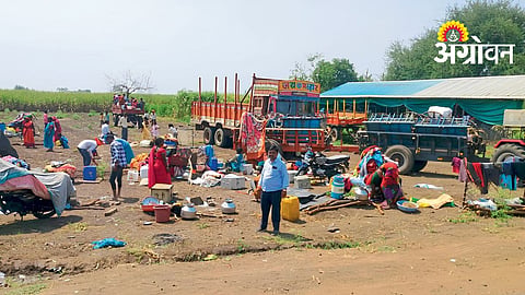 Sugarcane Crushing Season