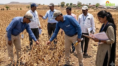 Drought Relief Maharashtra