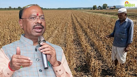 Maharashtra Drought Relief