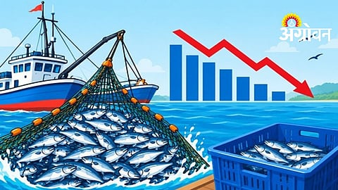 Fish Production Decline