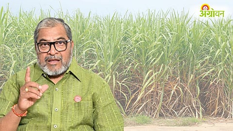 Raju Shetti