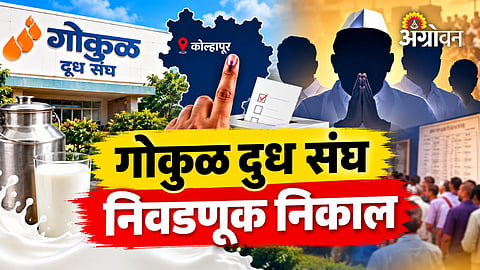 Gokul cooperative milk union election results