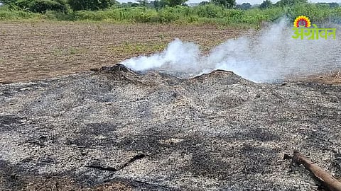 Soybean Crop Damage