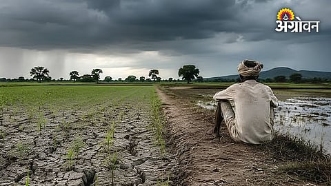 Rainfall deficit impact on Indian farmers