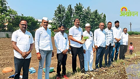Onion Farmers