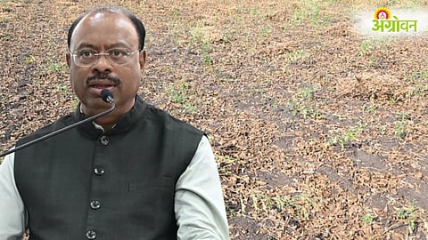 Maharashtra Drought