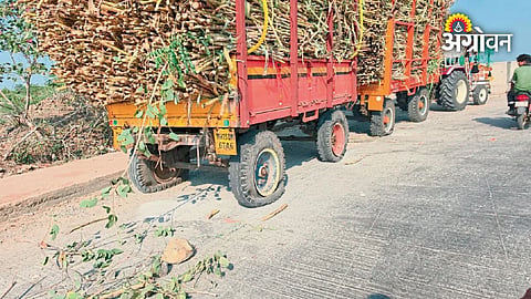 Sugarcane transport tractors targeted in Maharashtra