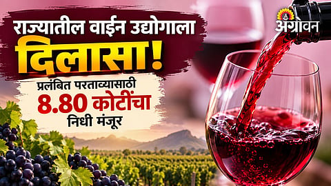 Government decision on wine industry incentives