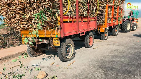 Solapur Sugarcane Price Protest