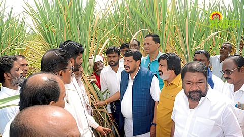 Sugarcane Farmers Issues