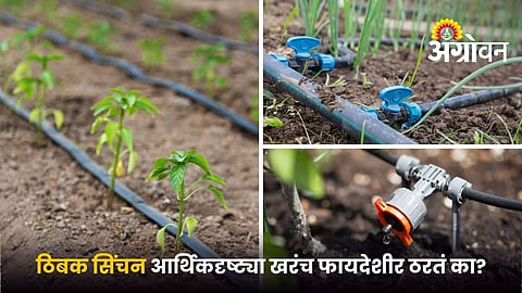 Drip irrigation cost and long term savings