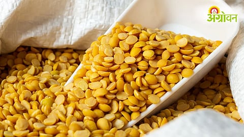 Pulses Self Reliance Mission