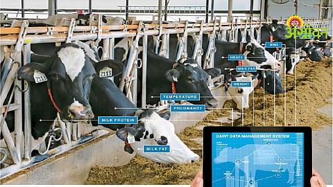 Veterinary Technology