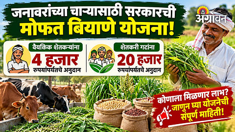 Maharashtra Government subsidy for fodder seeds in Maharashtra