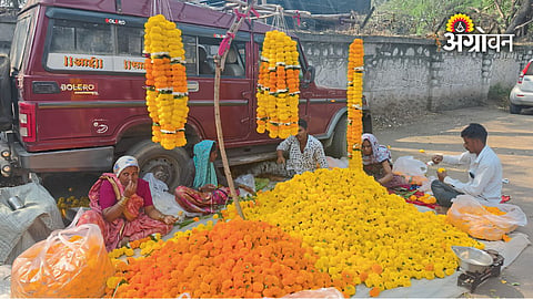 Dussehra flower market updates for farmers