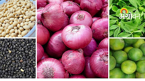 Agrowon Podcast