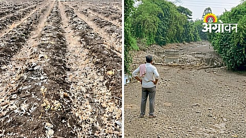 Kharif Crop Losses