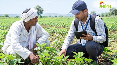 Digital Crop Survey