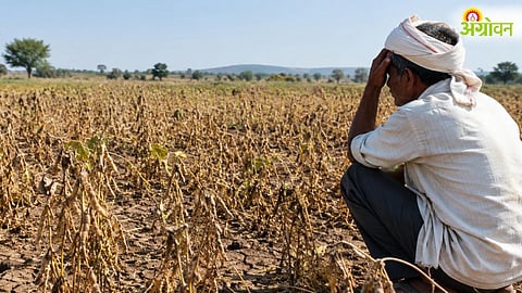 Karnataka Drought