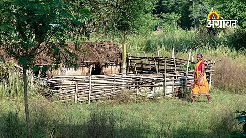 Forest Rights Claims