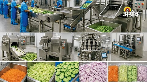 Fresh CutIndustry