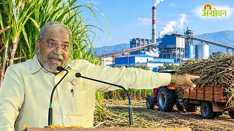 Sugarcane Rate