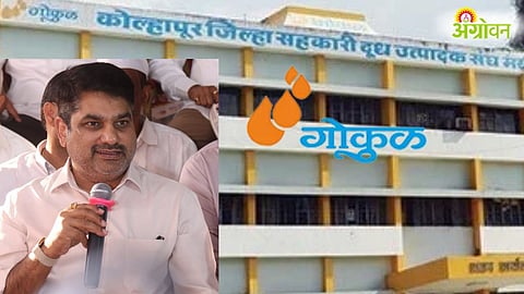 Gokul President Election