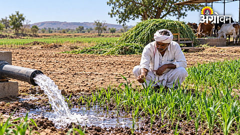 Drought management strategies for Maharashtra farmers