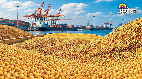 Brazil soybean acreage and yield forecast for 2026-27