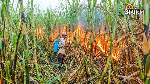 Short circuit fire damages agricultural fields