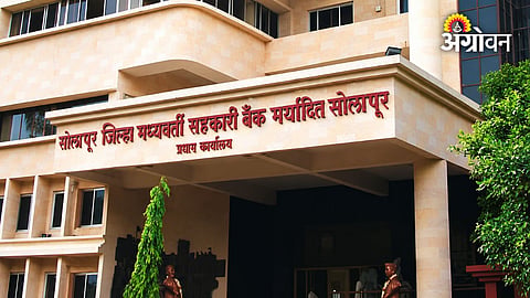 Solapur DCCB board election process latest update
