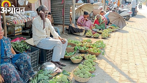 Girad Sitaphal Market