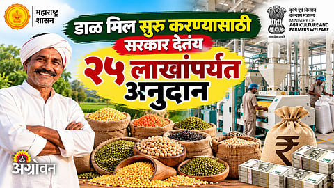 Maharashtra government scheme for dal processing businesses
