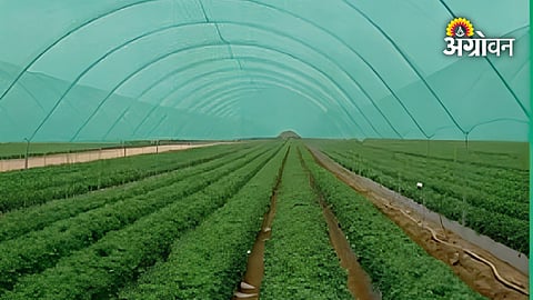 Government crackdown on agricultural subsidy irregularities