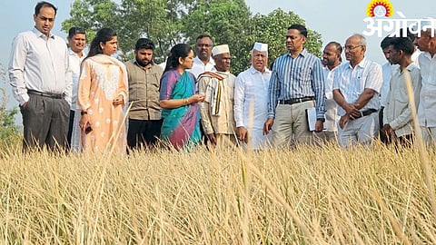 Drought Inspection