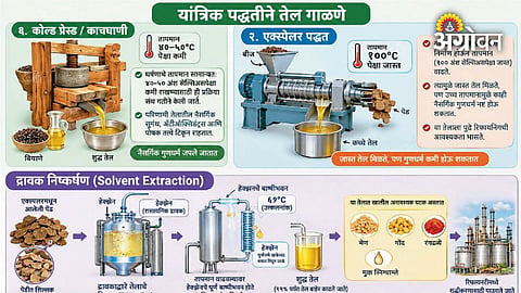 Edible Oil Production