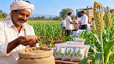 Rabi Jowar Seed Mini-Kits to Be Distributed Before November 10