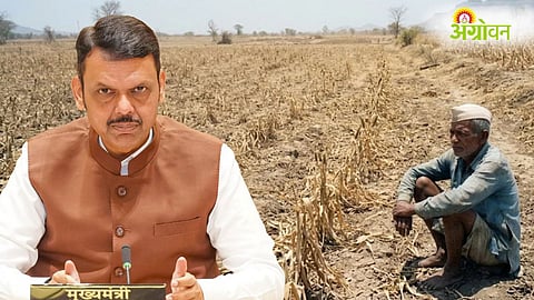 Maharashtra Farmer Relief