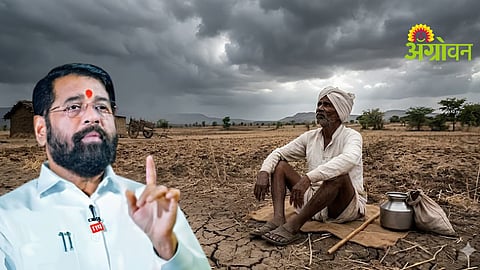 Farmer Loan Recovery