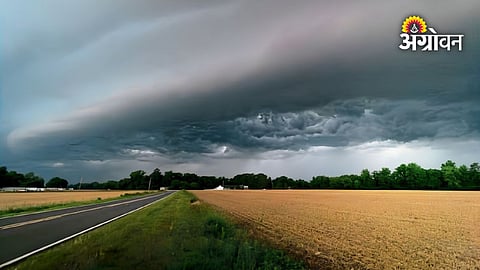 Climate science advances in El Nino prediction