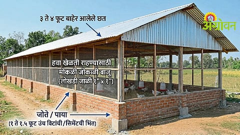Poultry Farm Equipment