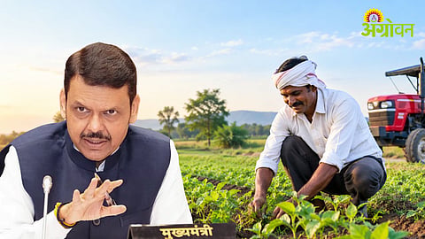 Namo Shetkari Yojana