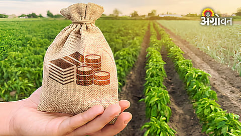 Financial relief for farmers after severe crop damage