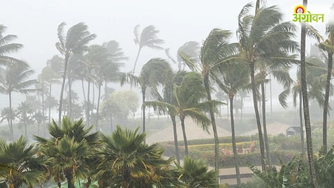 Cyclone Arnab